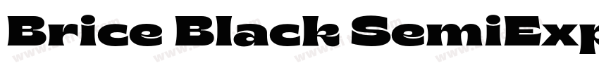 Brice Black SemiExpa字体转换 Brice Black SemiExpa字体转换